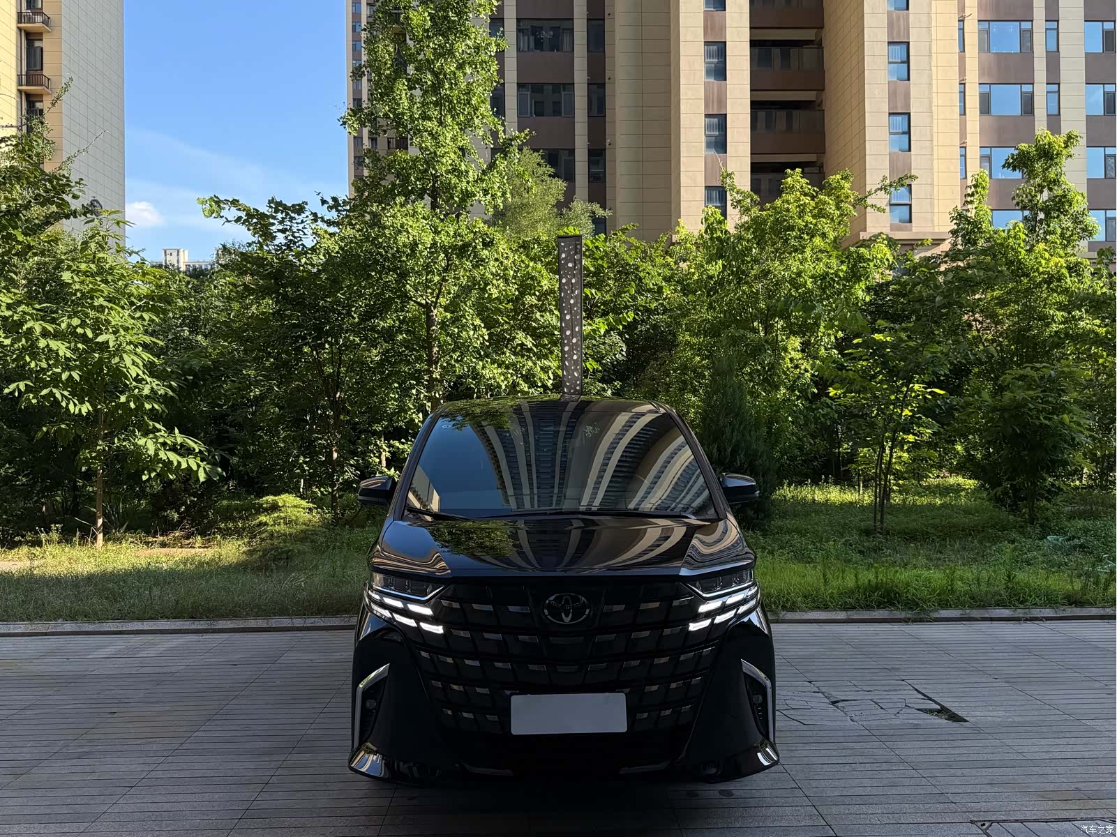 Toyota Alphard, 2025 3