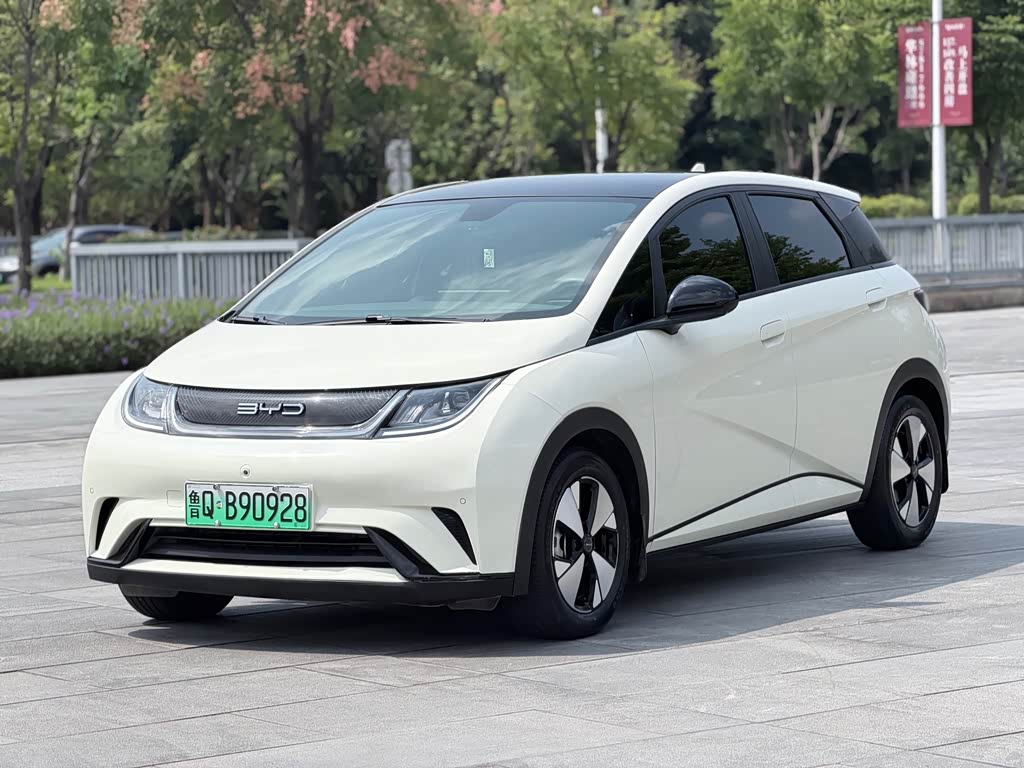 BYD Dolphin 2023 420km Fashion
