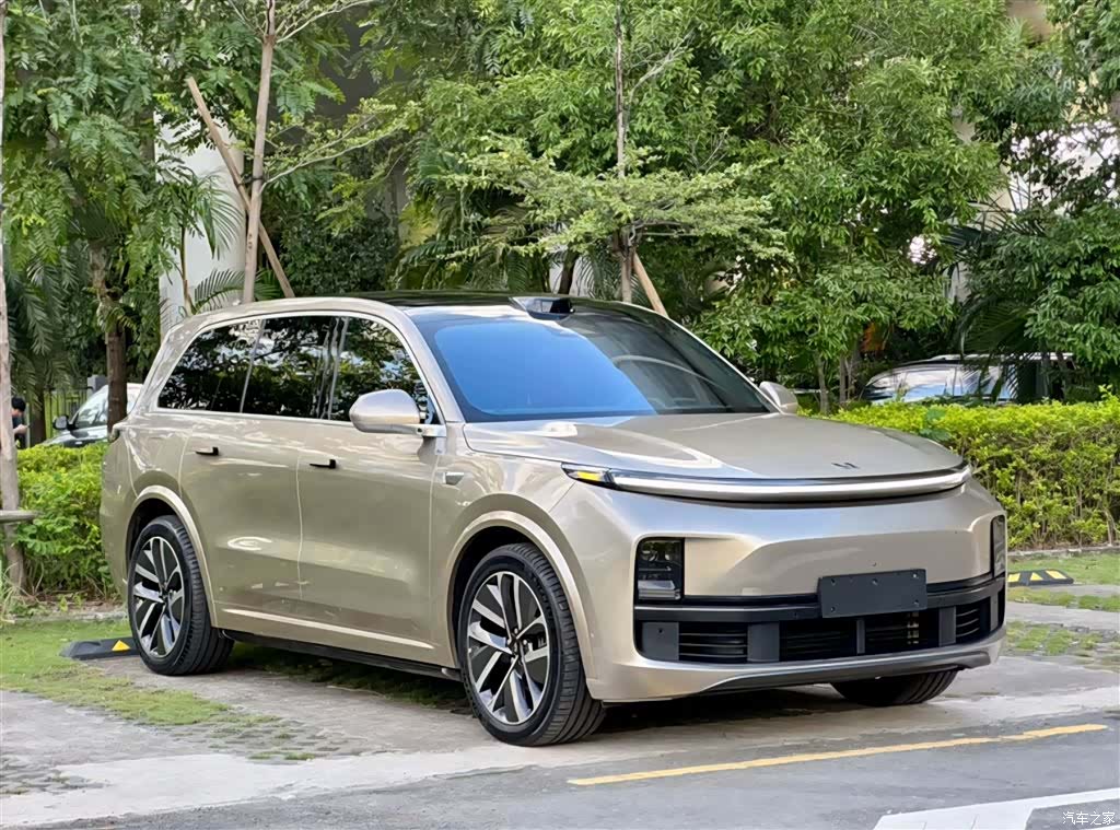 Li Auto L9, 2022 6