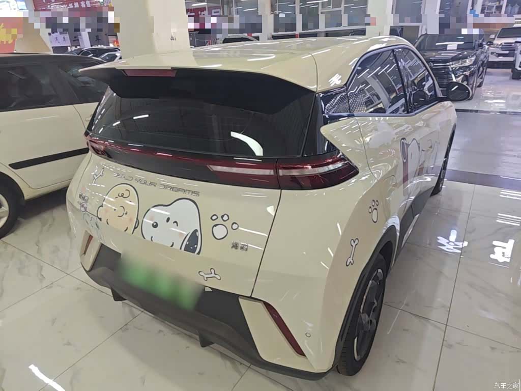 BYD Seagull, 2024 7