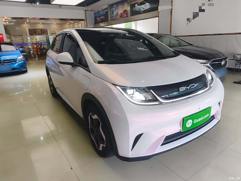BYD Dolphin, 2022 4