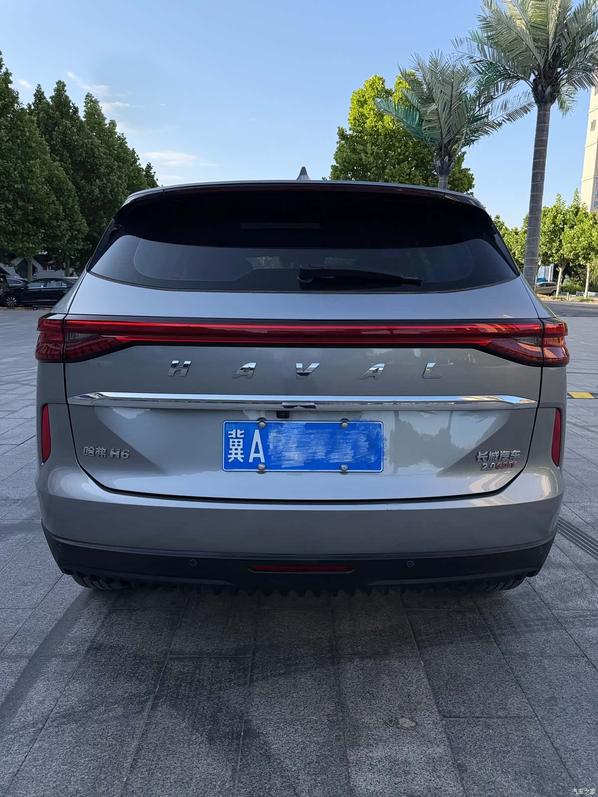 Haval H6, 2023 все фото