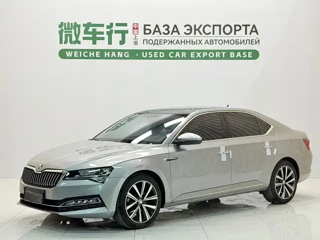 Škoda Speed pie 2024 — купить из Китая под заказ