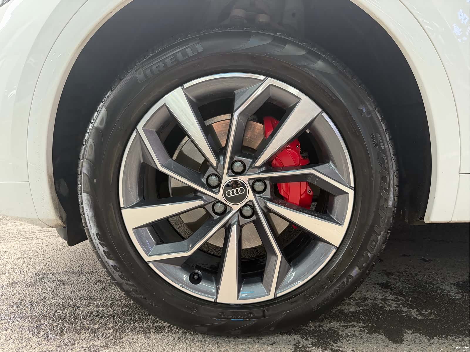 Audi Q5L, 2024 все фото
