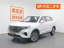 ����RX5 MAX 2019�� 300TGI �Զ�4G����������