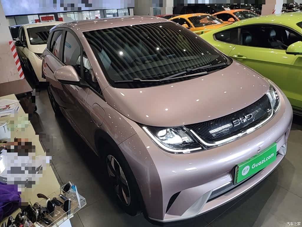 BYD Dolphin, 2024 4