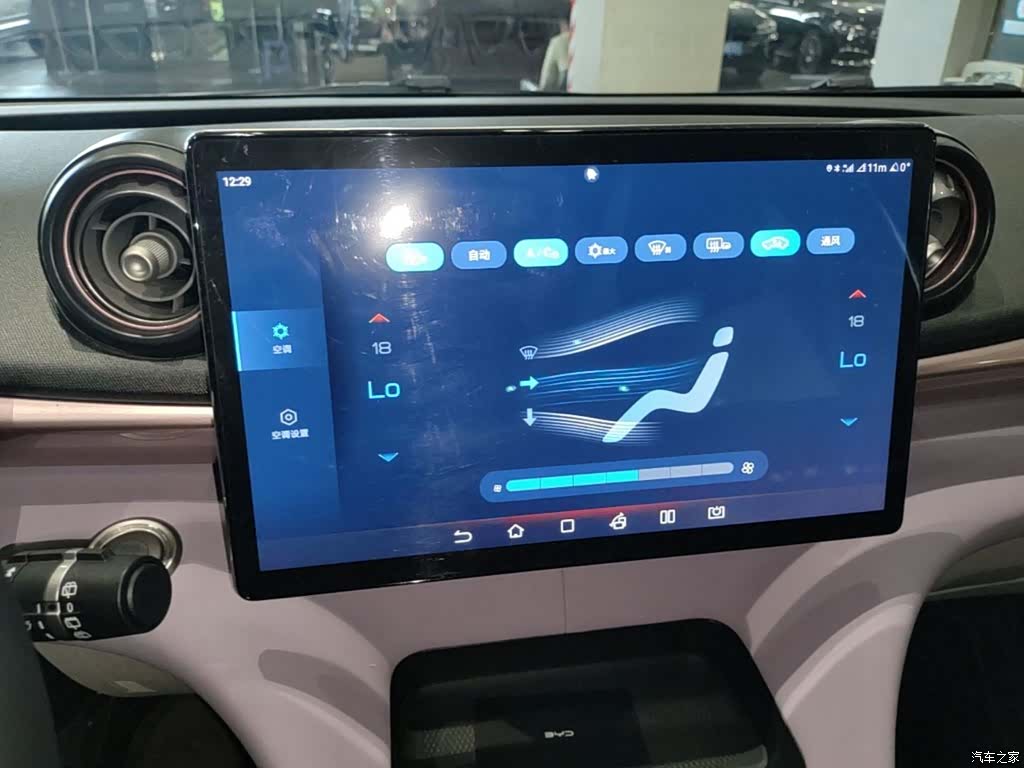BYD Dolphin, 2024 13