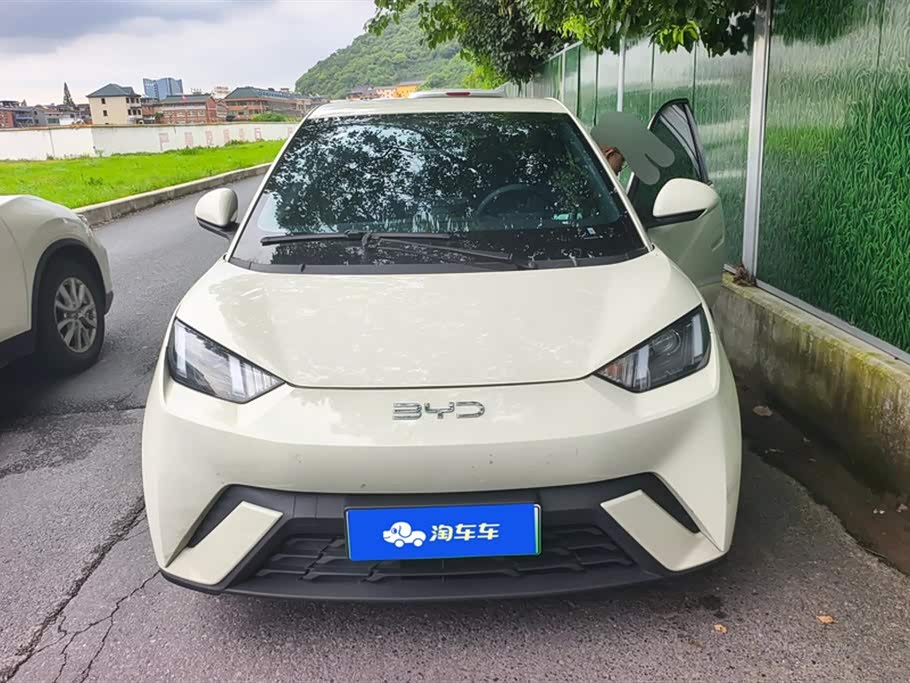 BYD Seagull