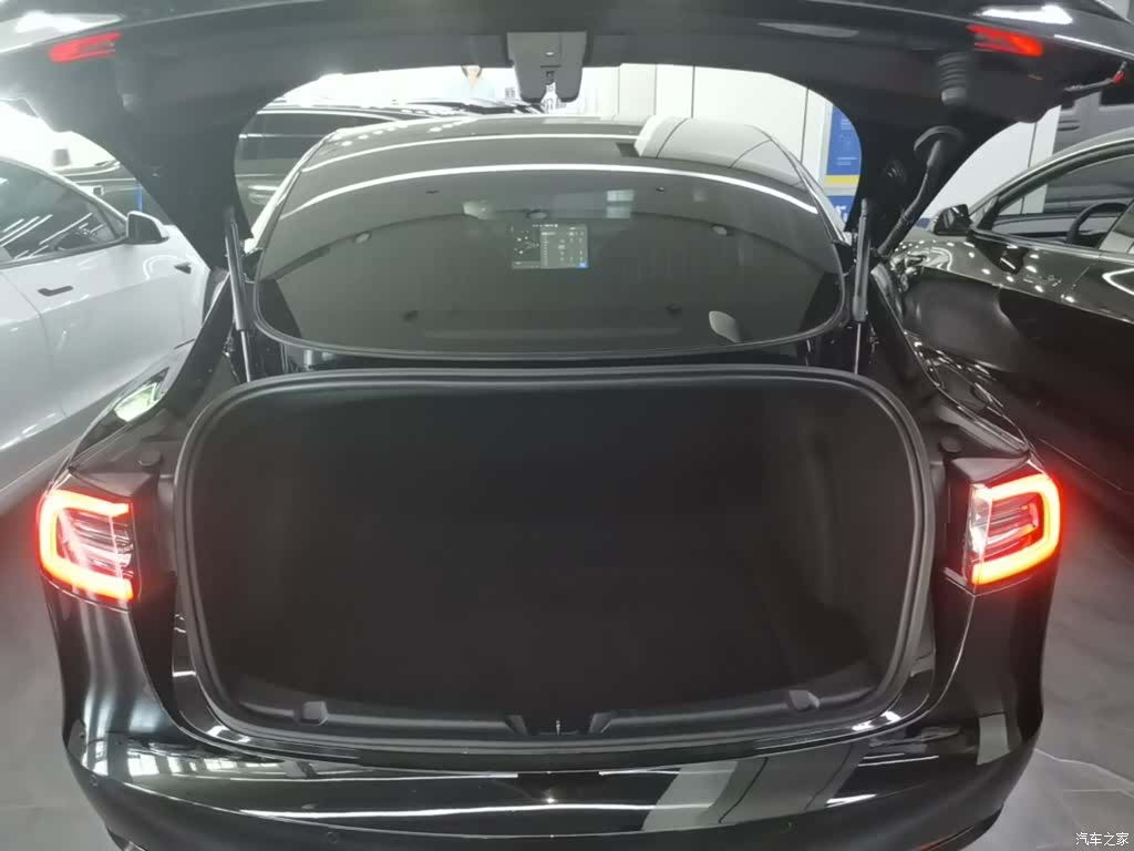 Tesla Model 3, 2020 19