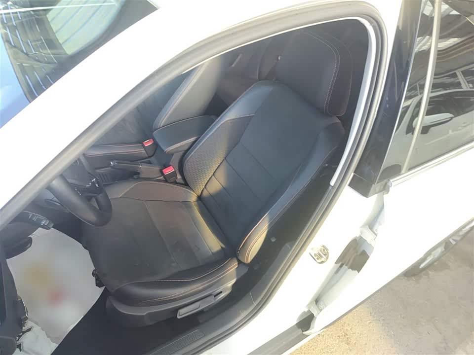 Volkswagen C-TREK Wei Collar