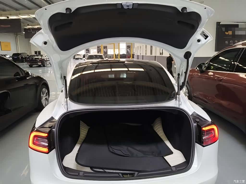 Tesla Model 3, 2020 19
