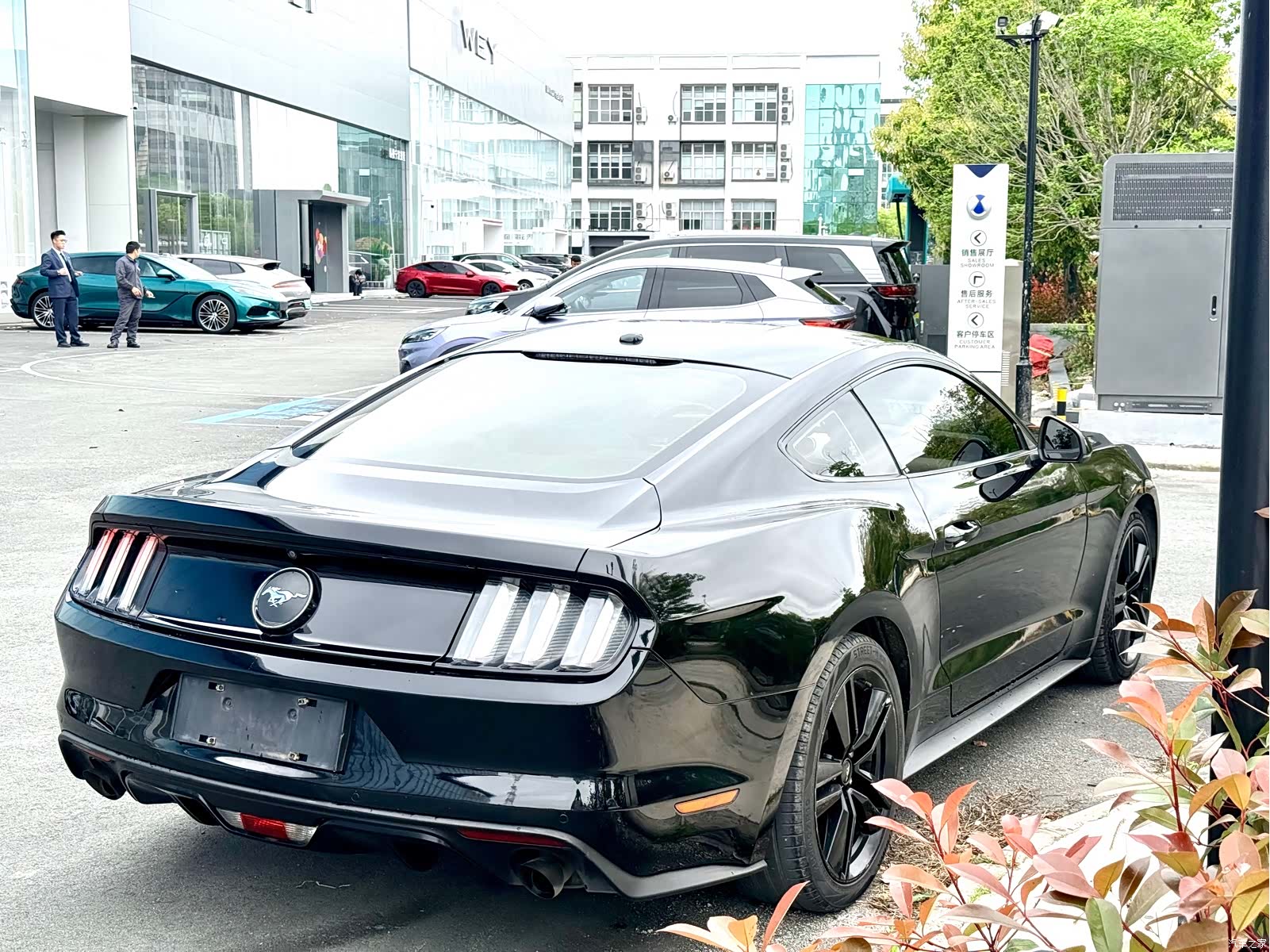 Ford Mustang, 2016 13