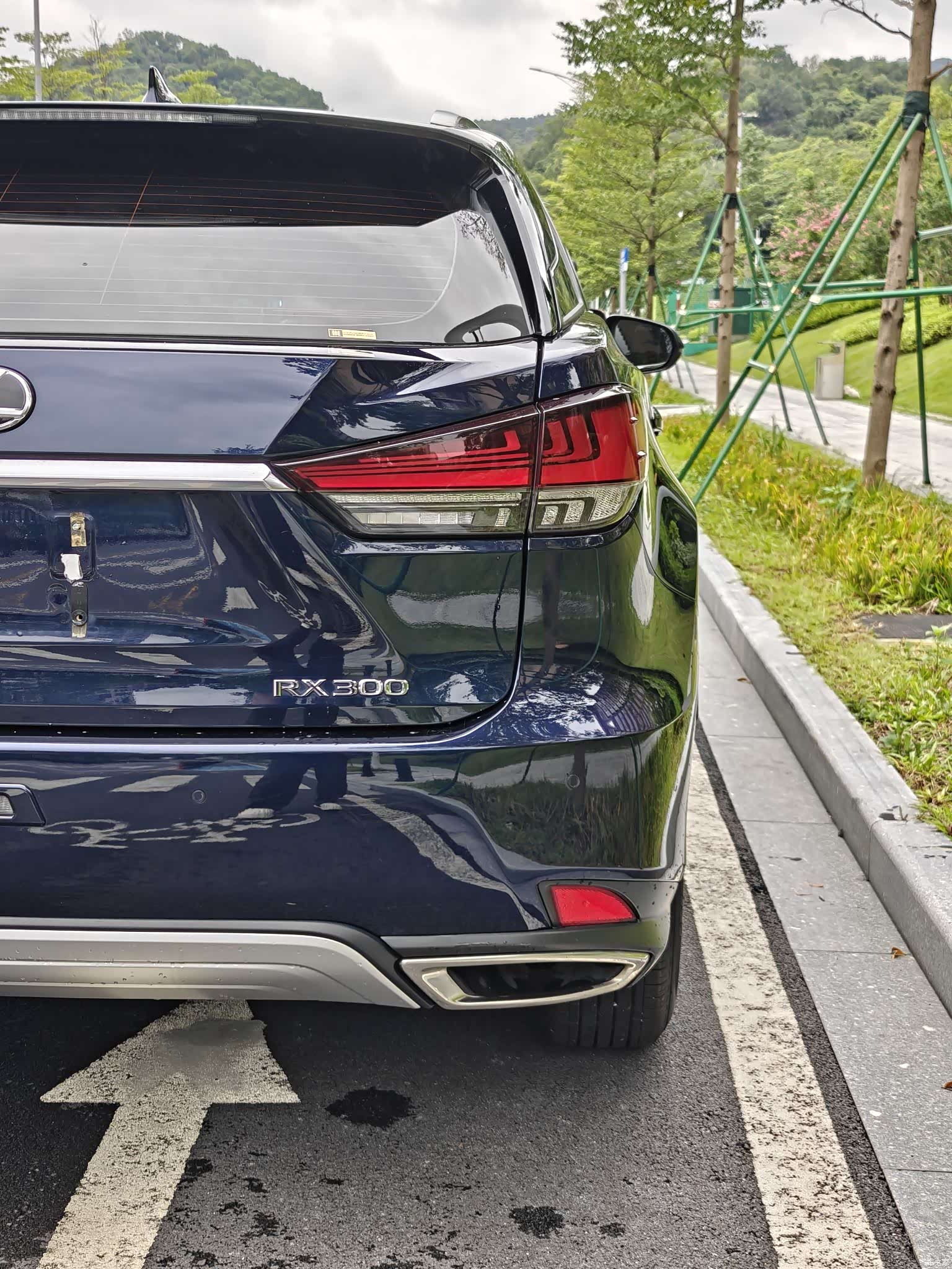 Lexus RX, 2021 21