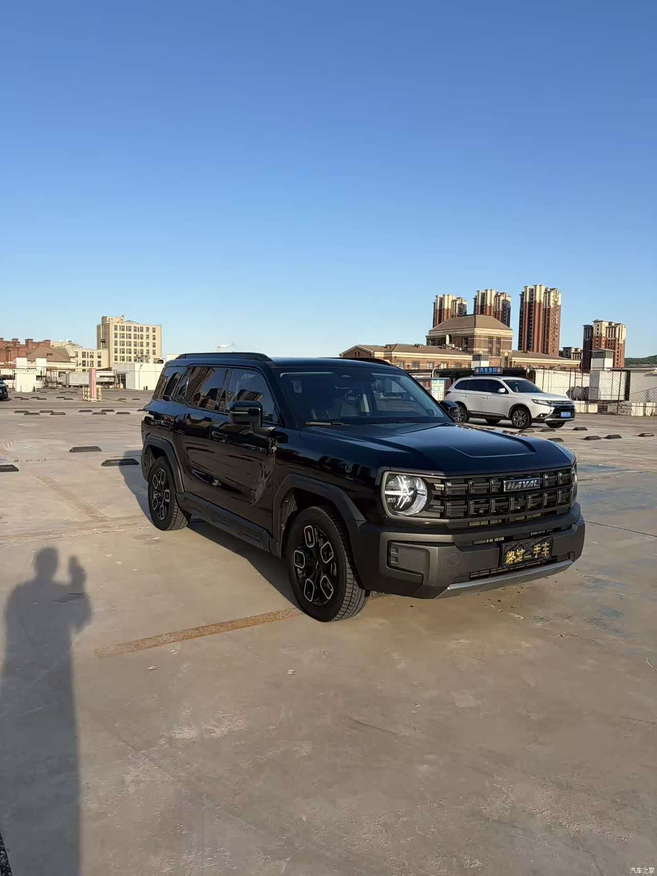 Haval Cool Dog, 2022 3