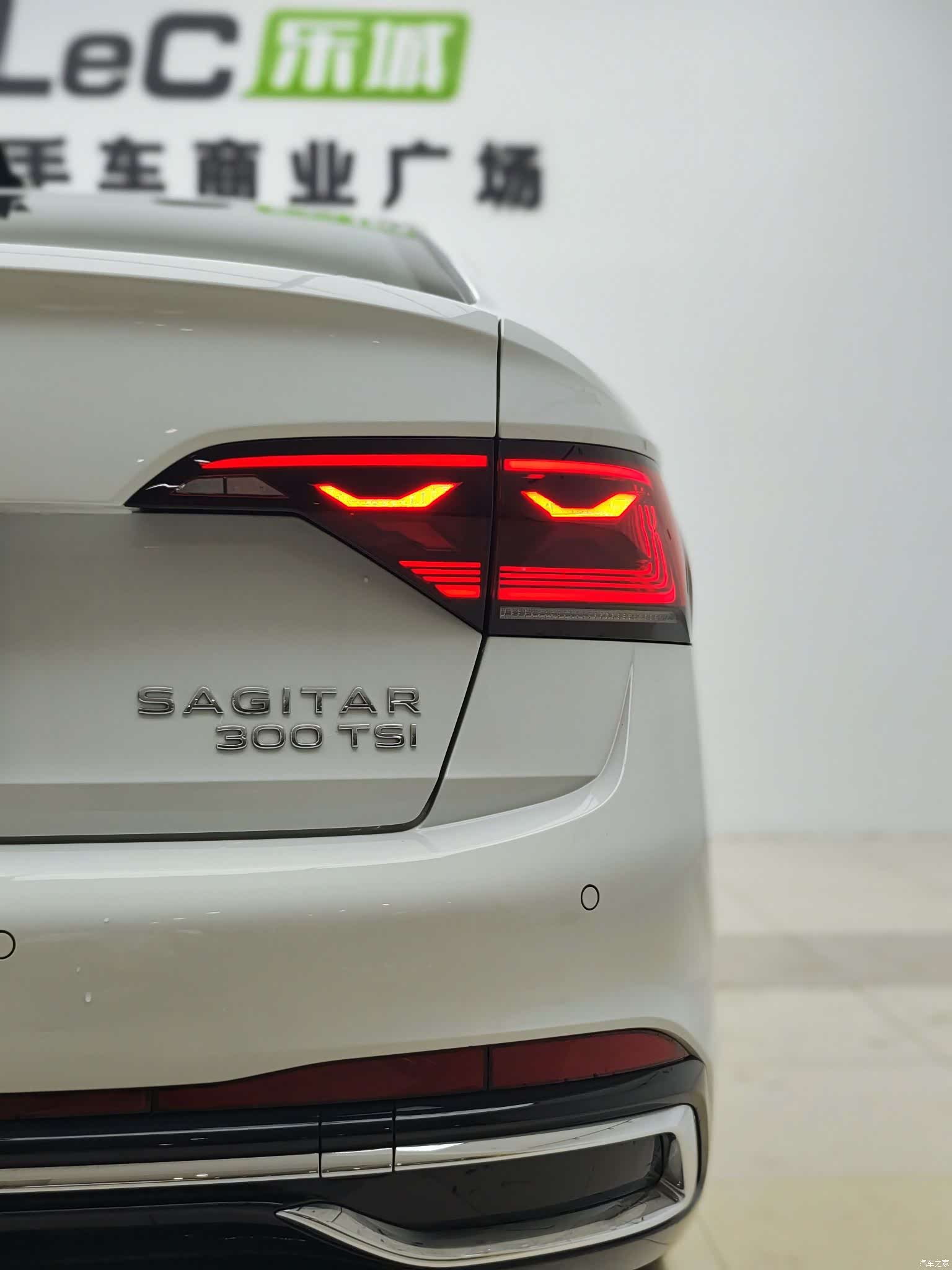 Volkswagen Sagitar, 2024 14