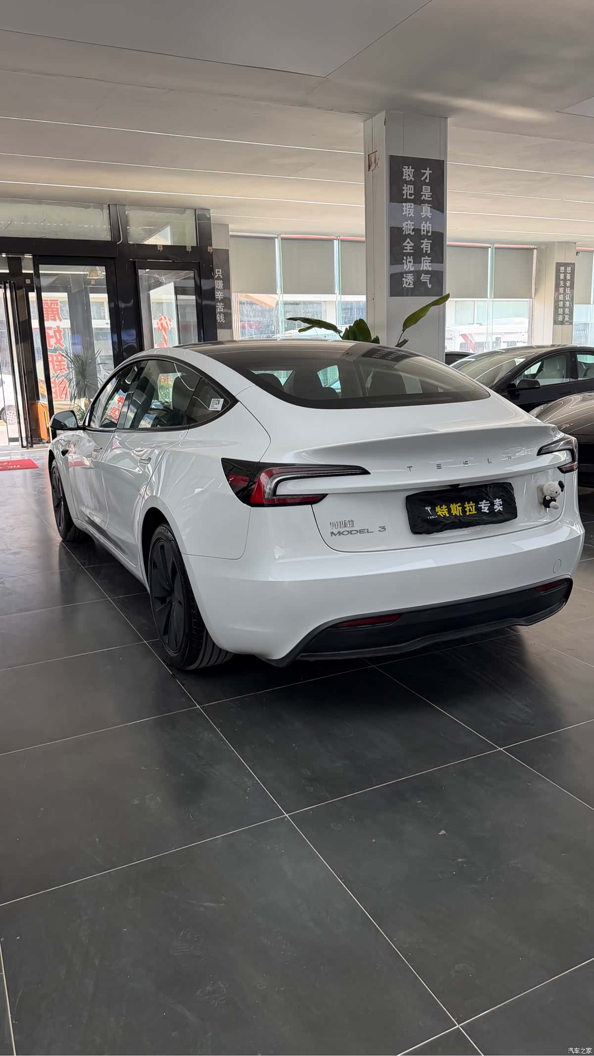 Tesla Model 3, 2025 4