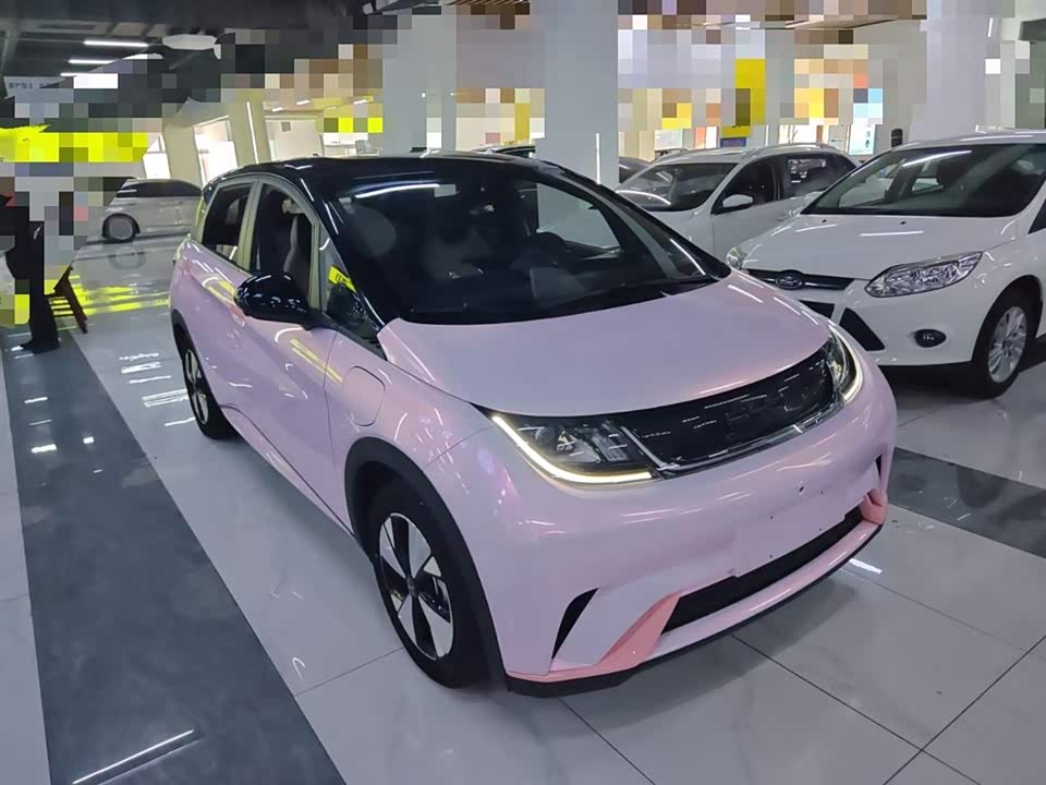 BYD dolphin