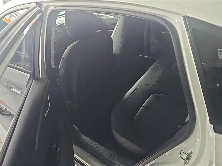 Wuling Wuling Starlight