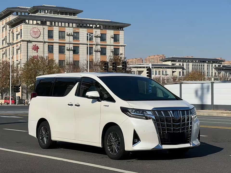 Toyota Elfa