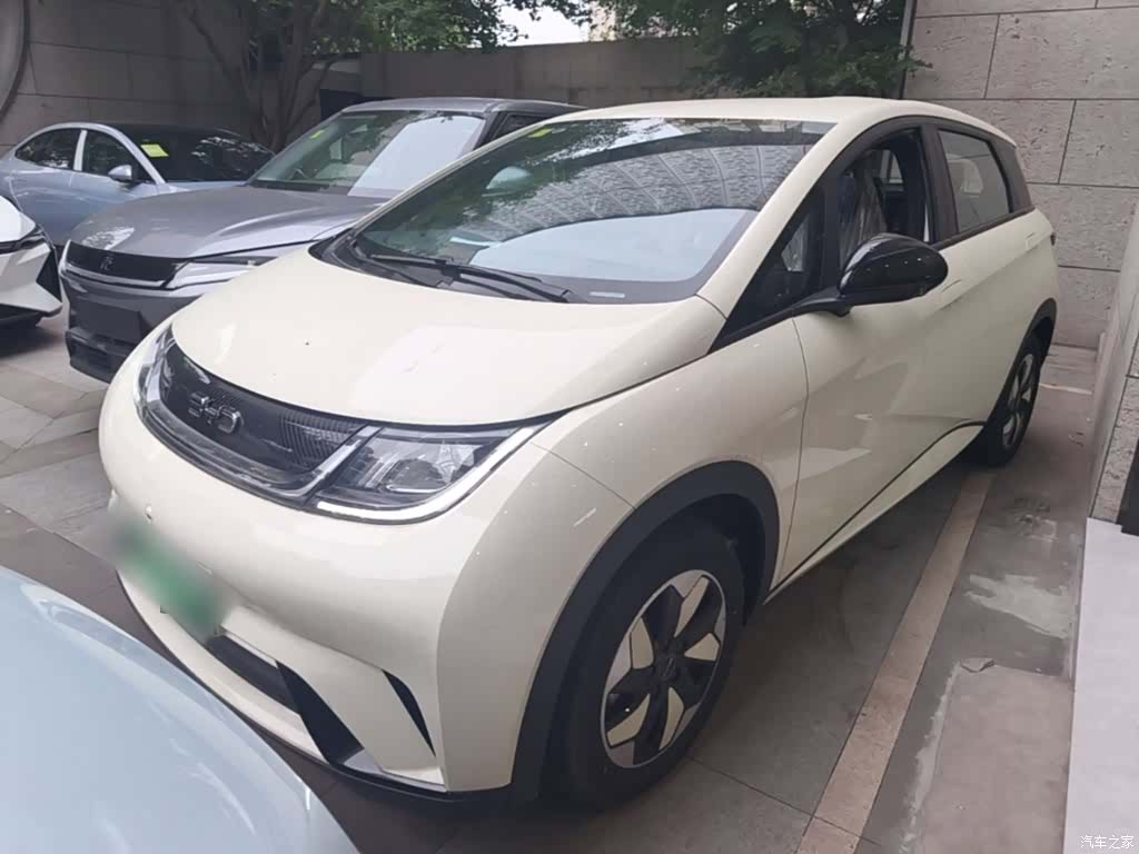 BYD Dolphin, 2026 2