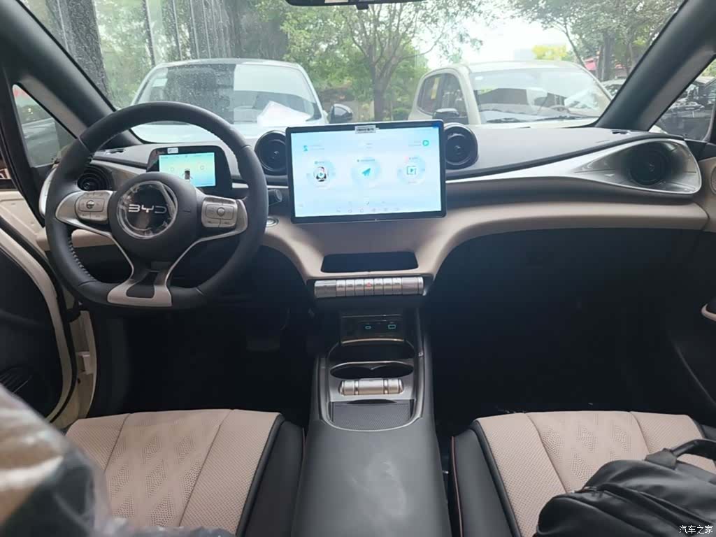 BYD Dolphin, 2026 10