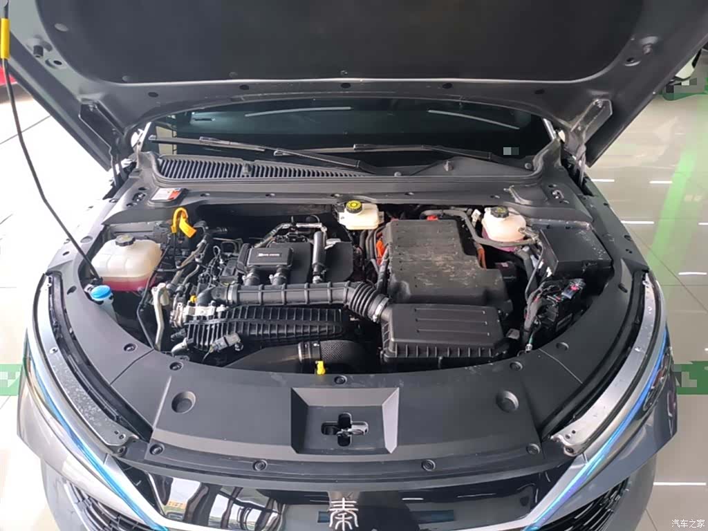 BYD Qin, 2025 20