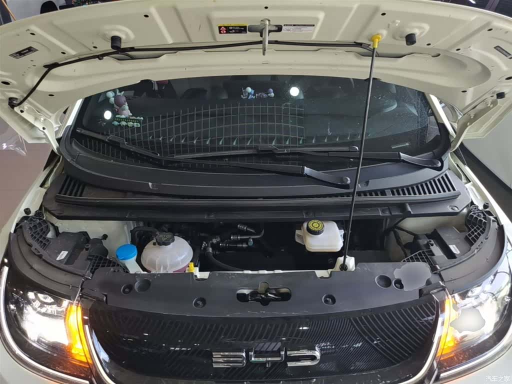 BYD Dolphin, 2024 20