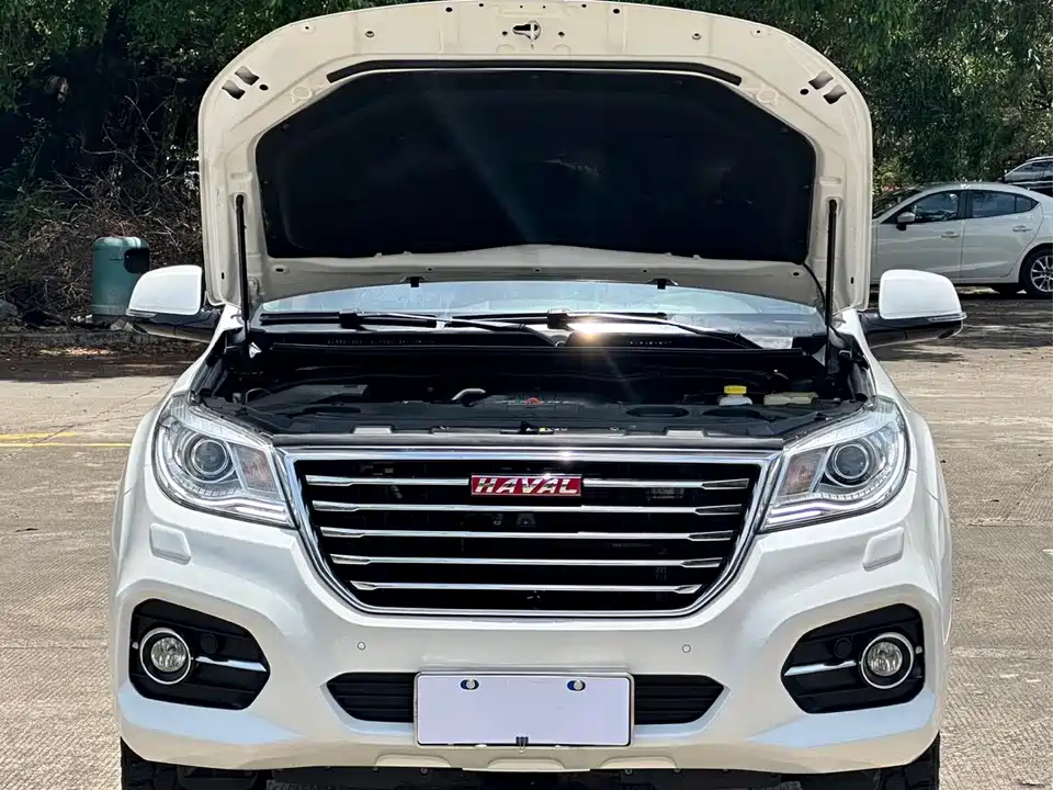 Haval H9