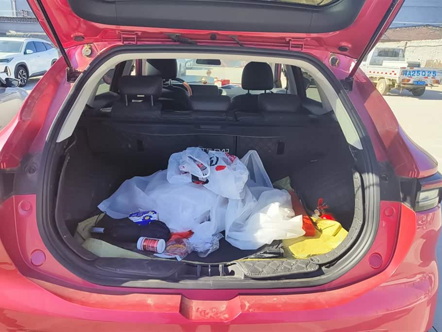 Forthing Popular T5 EVO