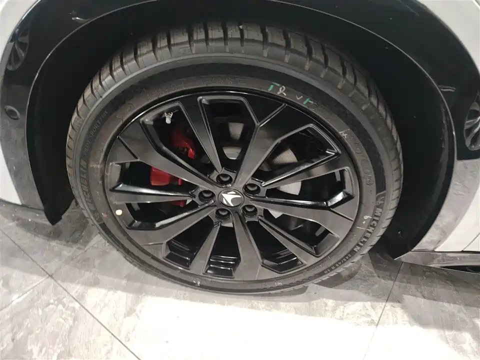 ARCFOX Polar Fox Alpha S