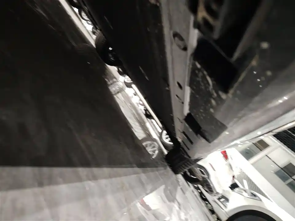 ARCFOX Polar Fox Alpha S