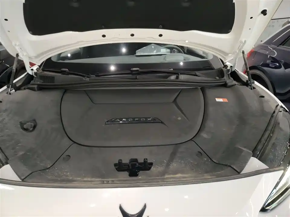 ARCFOX Polar Fox Alpha S