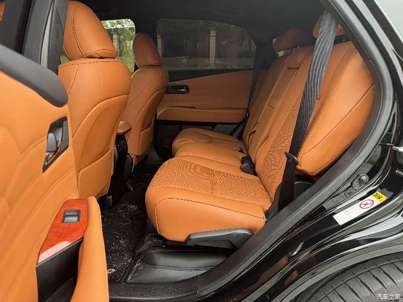 Lexus RX, 2010 8
