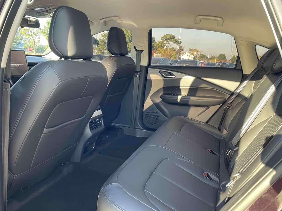 Wuling Wuling Starlight