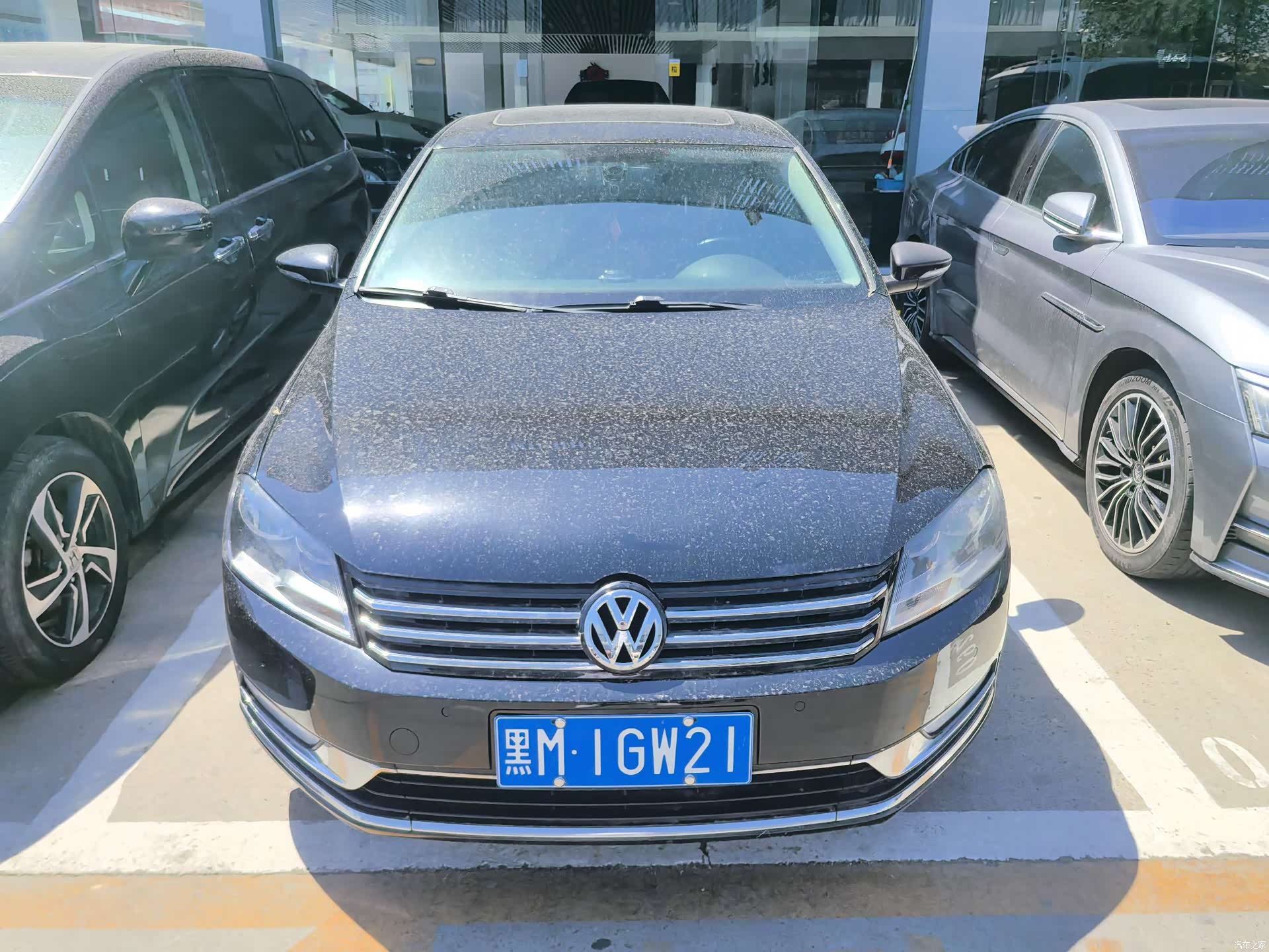 Volkswagen Magotan, 2013 2