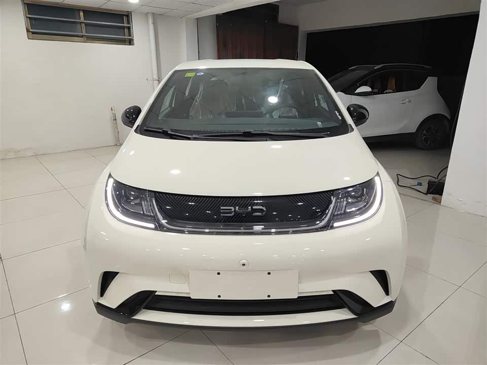 BYD dolphin