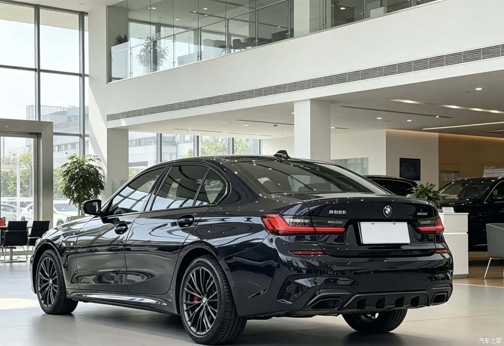 BMW 3 Series, 2021 7
