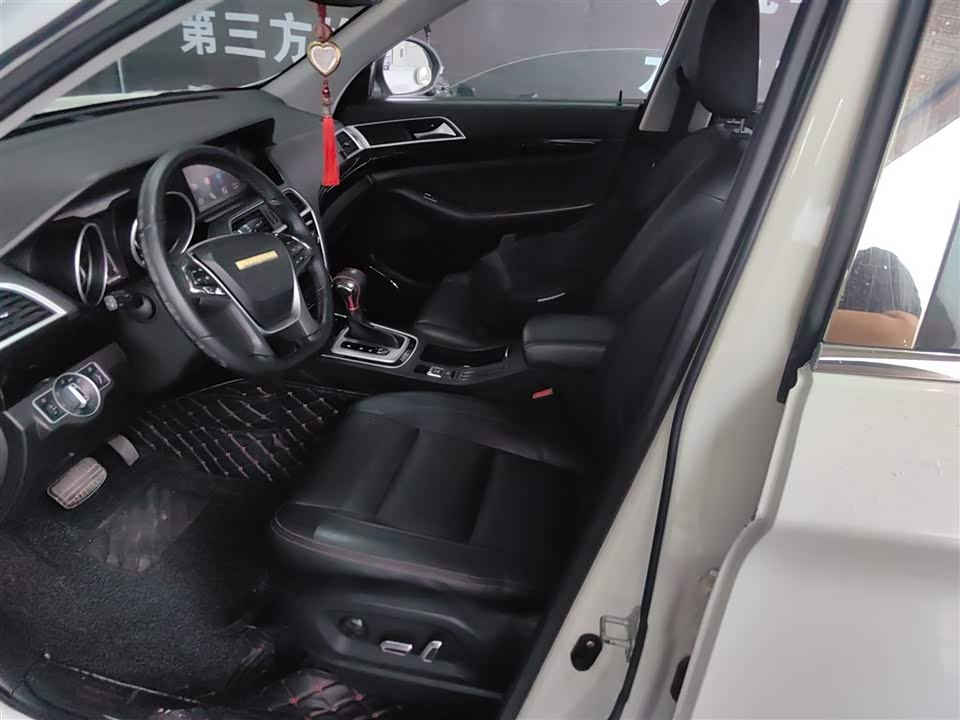 Leopaard Cheetah CS10