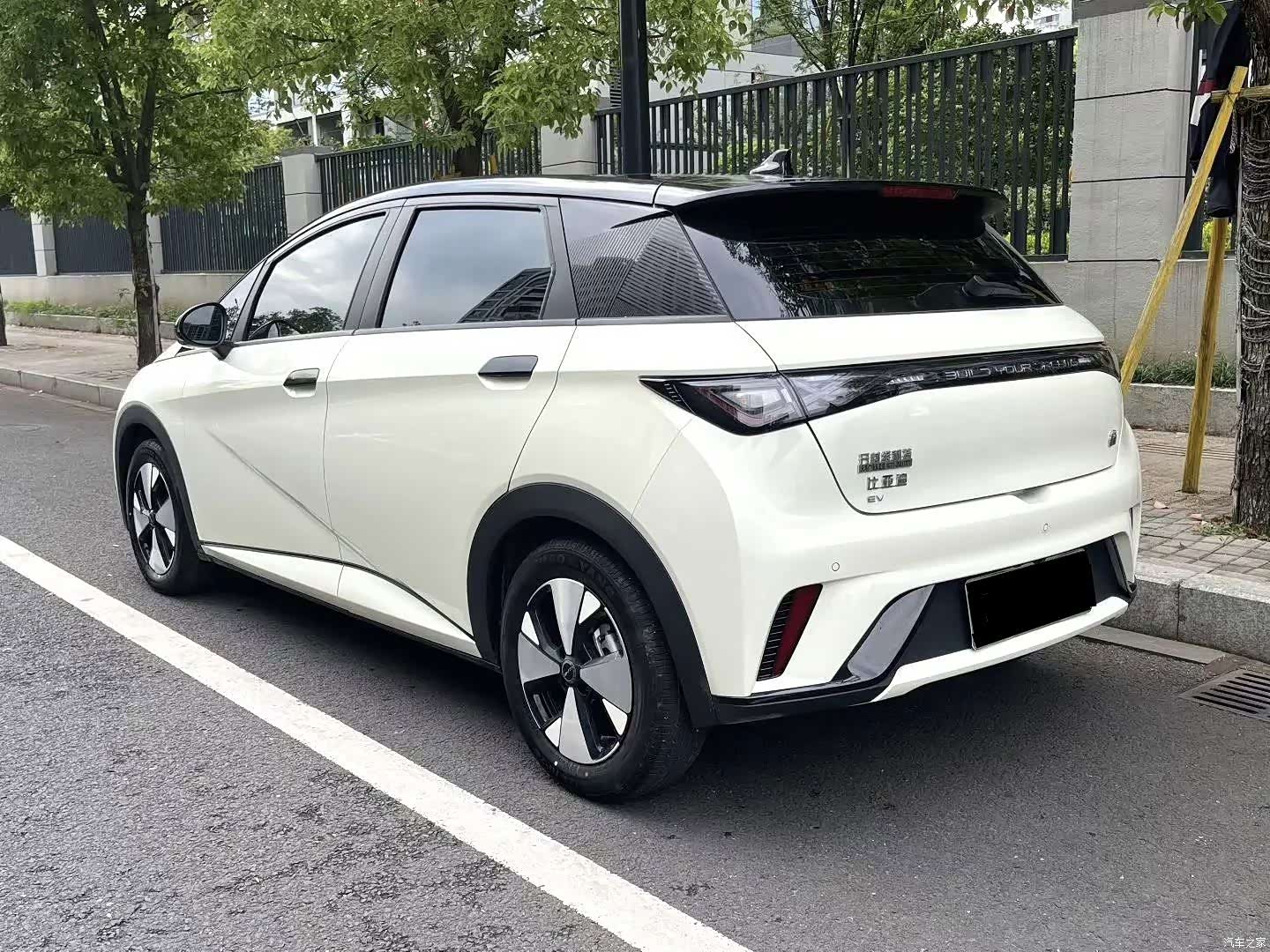 BYD Dolphin, 2023 4