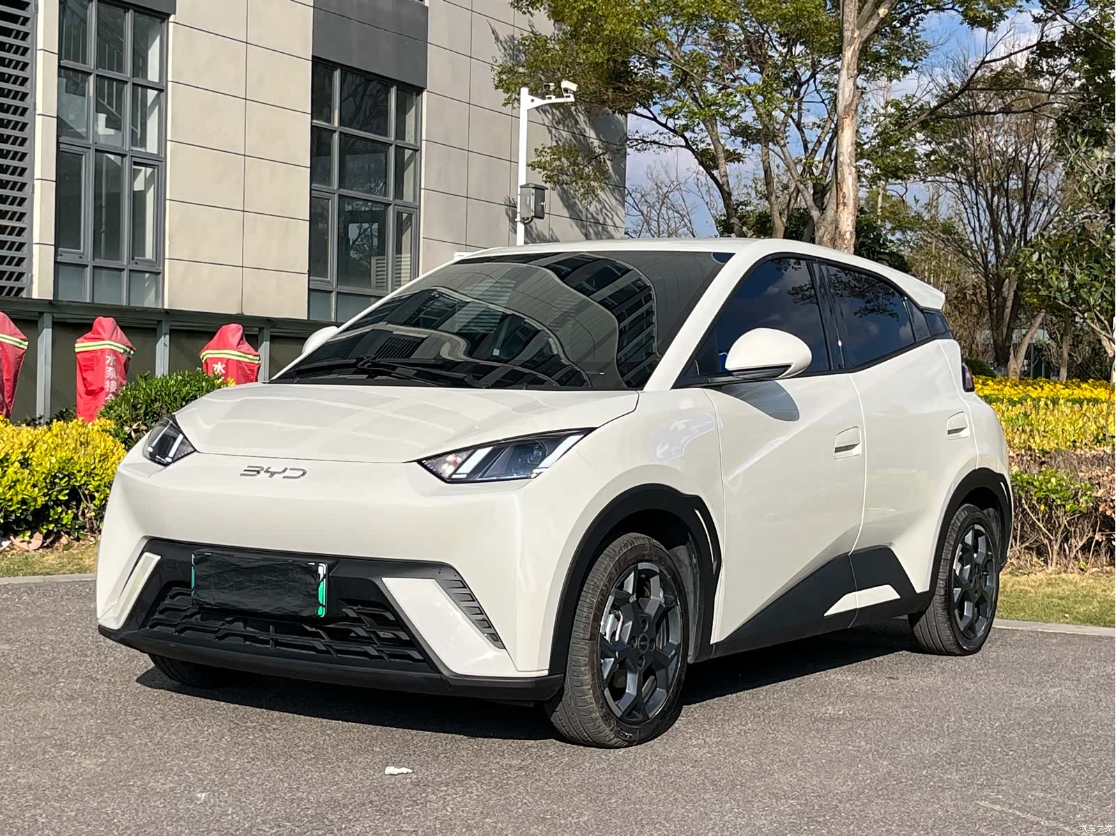 BYD Seagull, 2025 1
