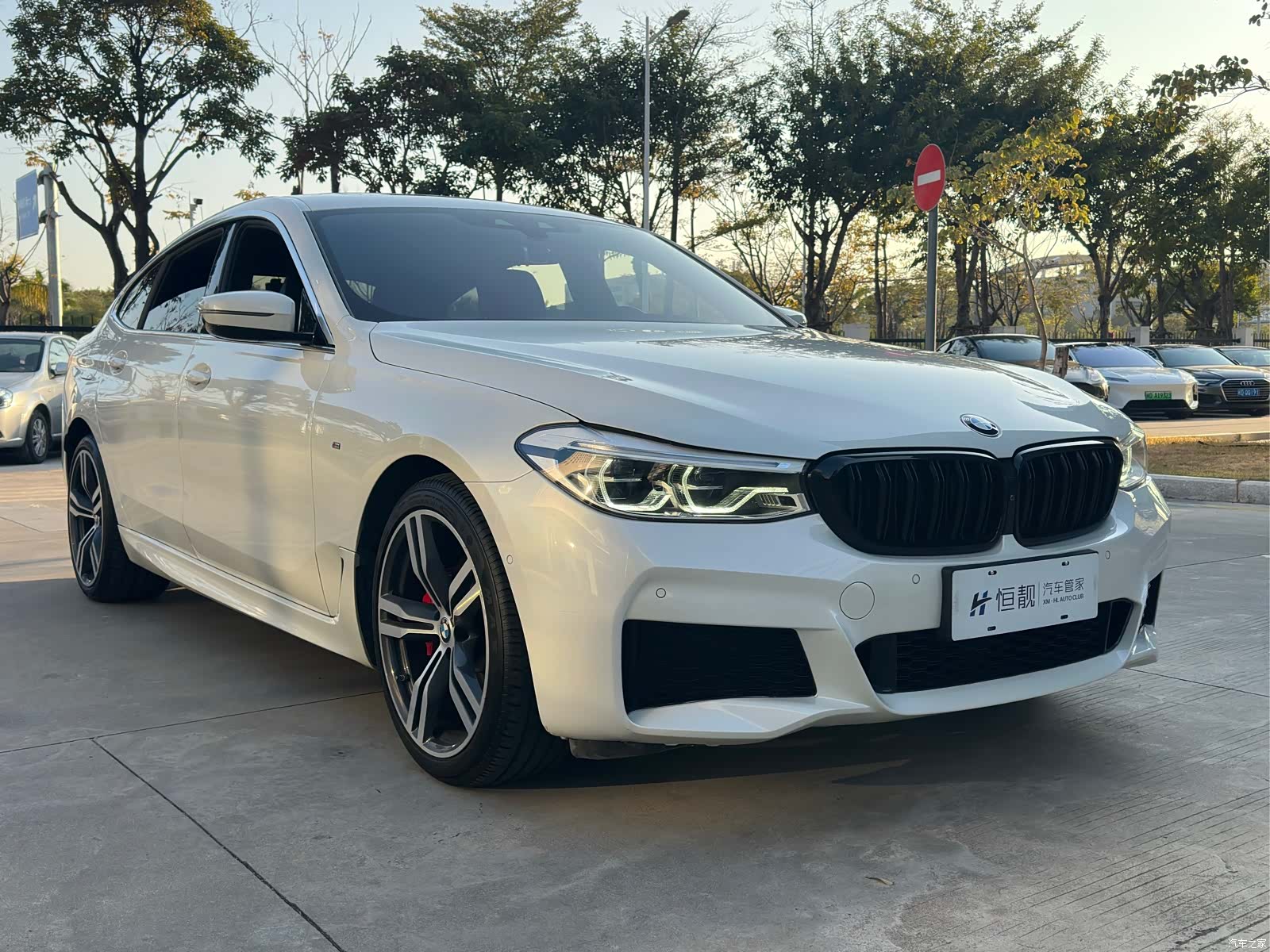 BMW 6 Series GT, 2019 3