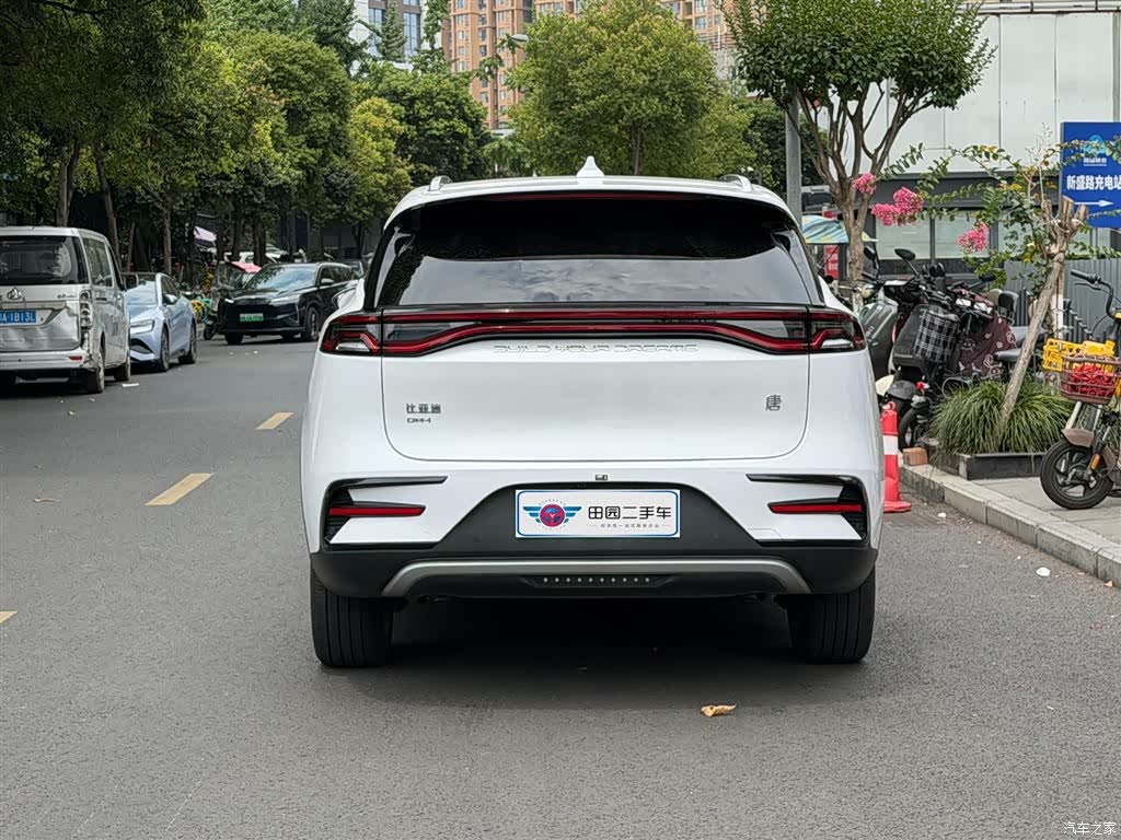 BYD Tang, 2022 все фото