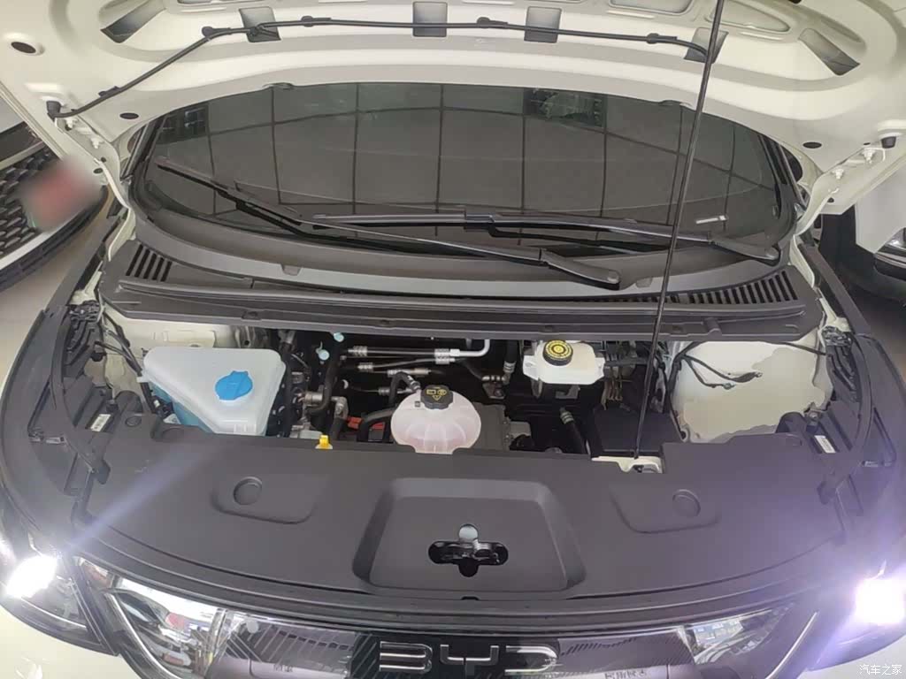 BYD Dolphin, 2026 20