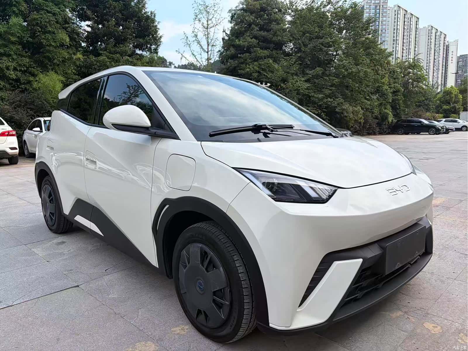 BYD Seagull, 2024 3