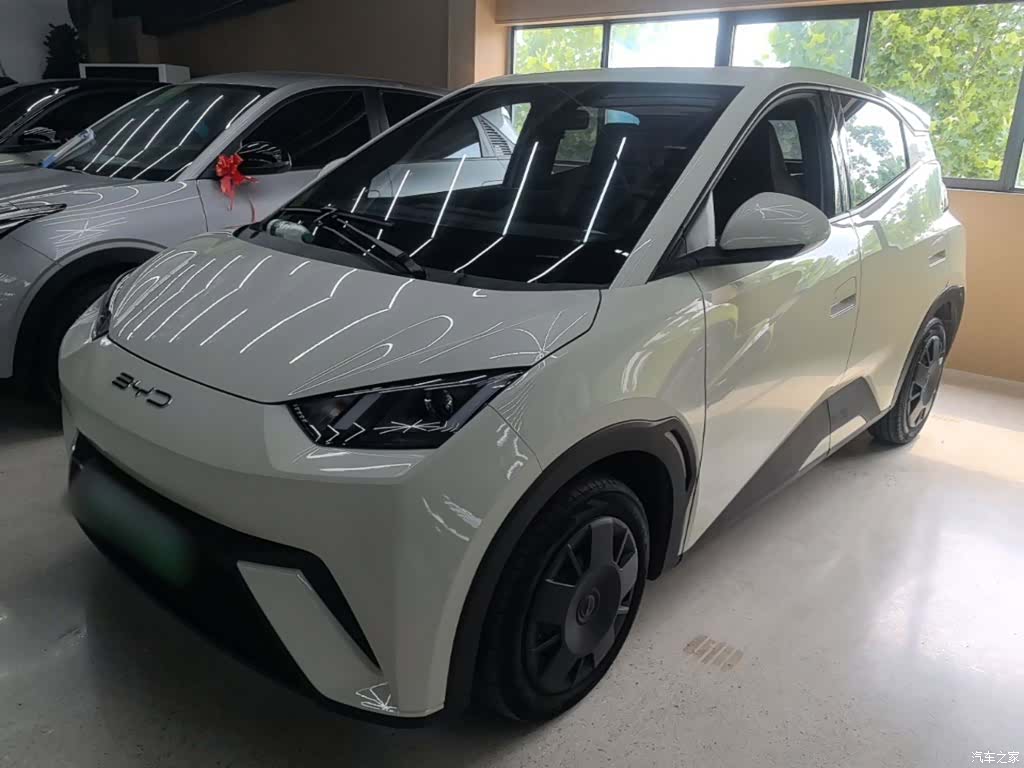 BYD Seagull, 2024 1