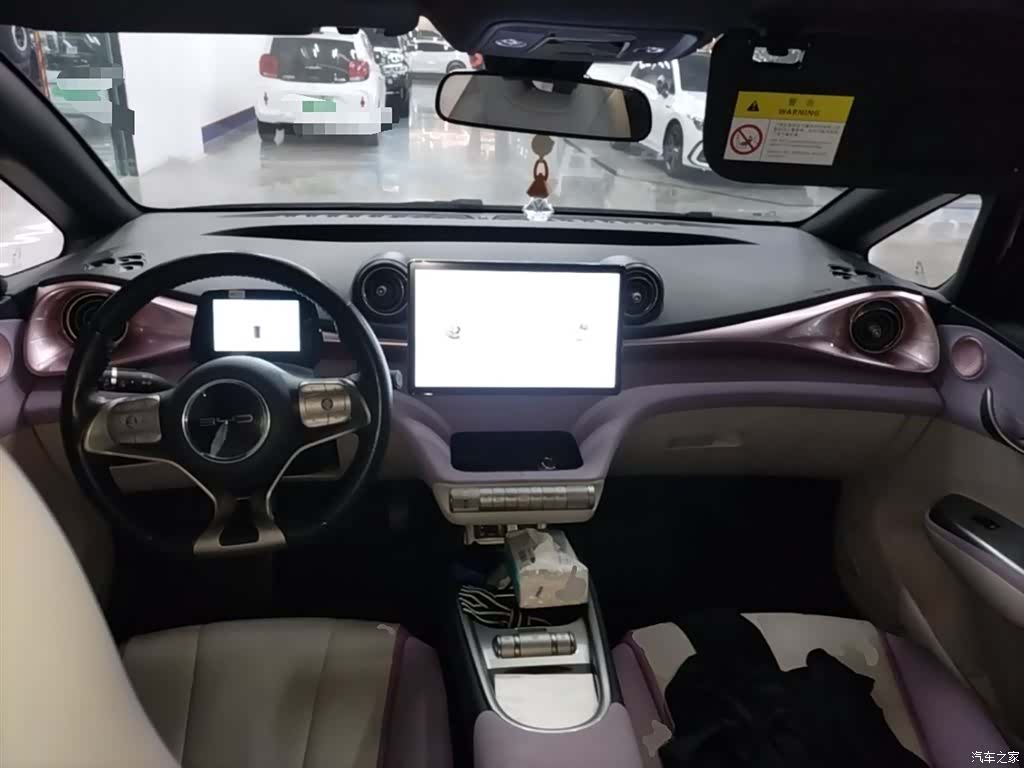 BYD Dolphin, 2023 6