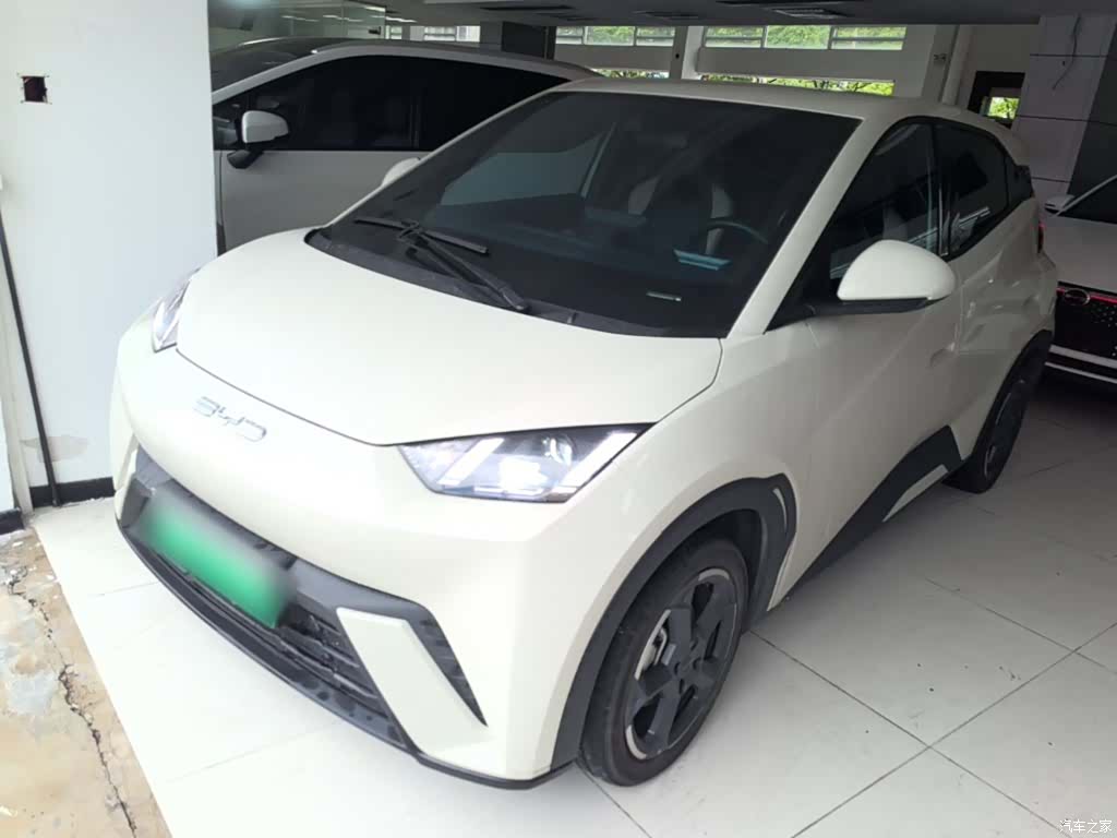 BYD Seagull, 2024 1