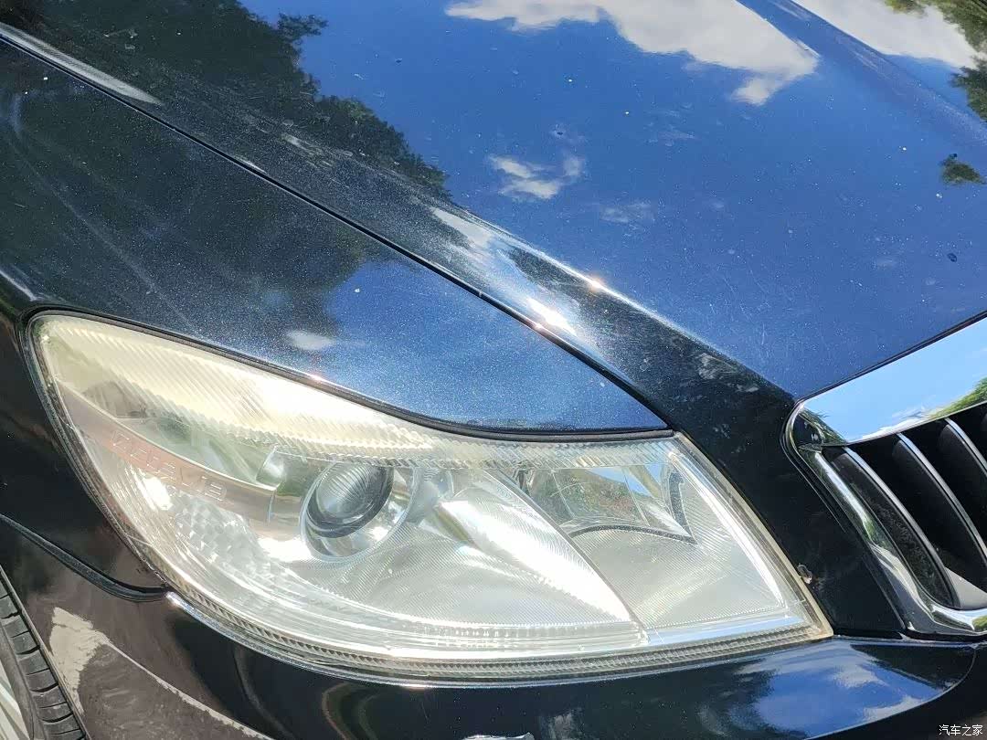 Skoda Octavia, 2014 все фото