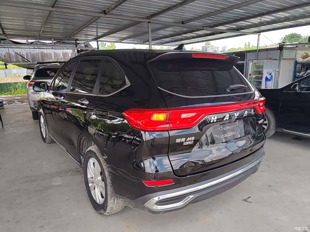 Haval M6, 2021 все фото