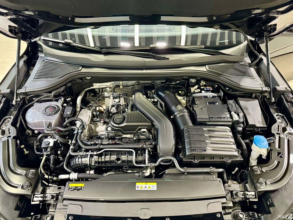 Volkswagen Magotan, 2026 10